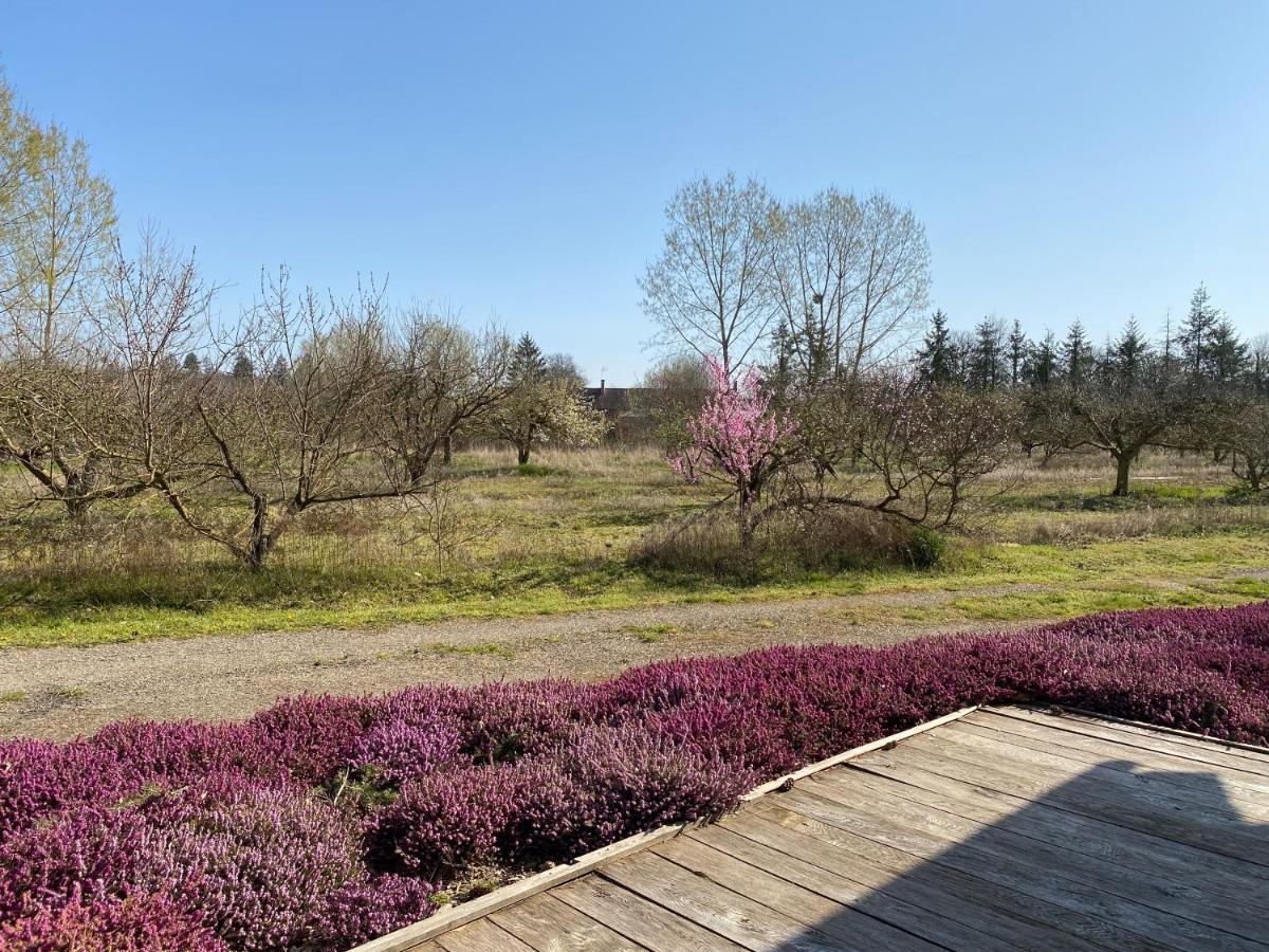 Le Gite De L'etoile Du Jour Neung-sur-Beuvron Extérieur photo