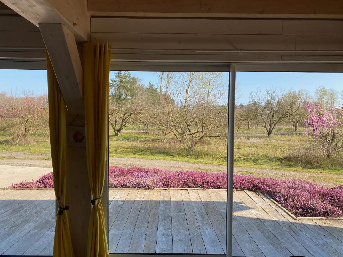 Le Gite De L'etoile Du Jour Neung-sur-Beuvron Extérieur photo